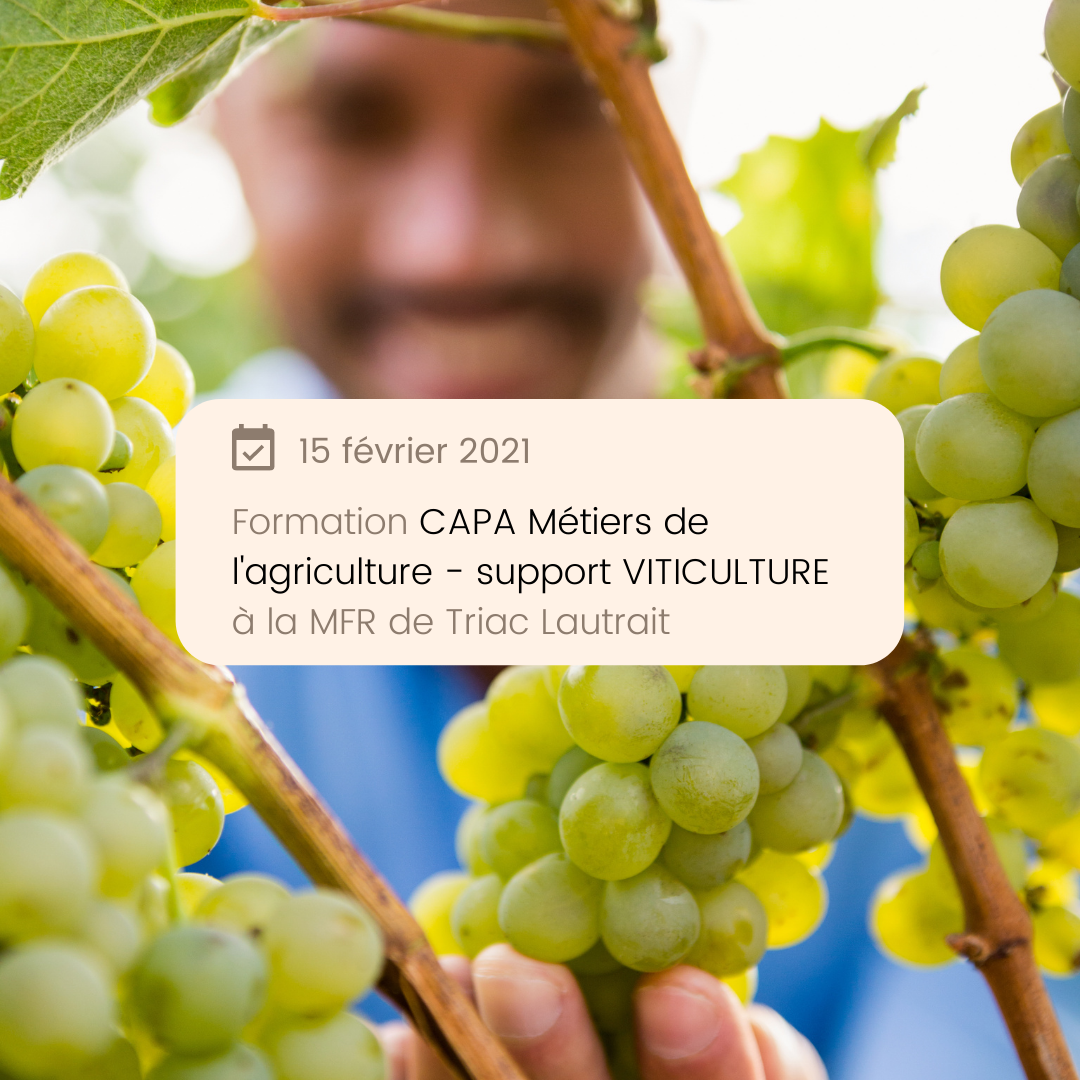 Nouveau CAPA Métiers de l’Agriculture – support VITICULTURE